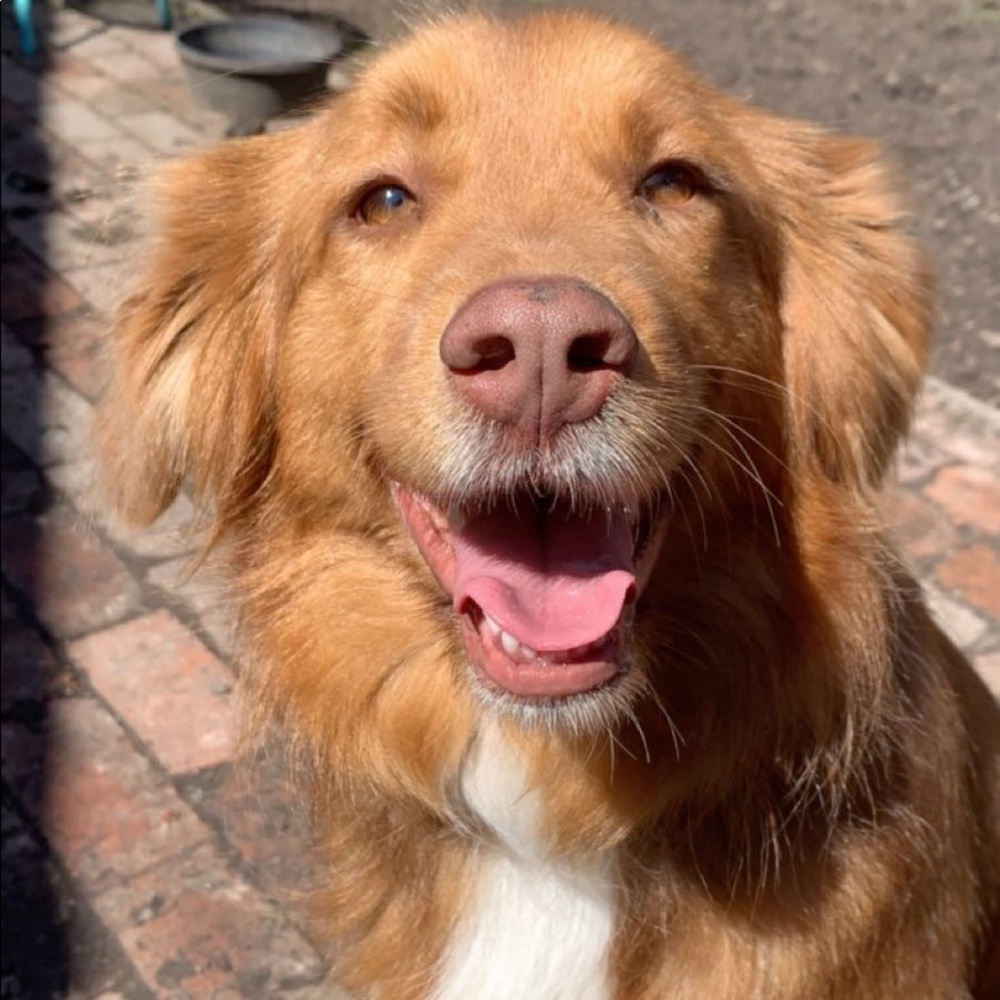 Meet your Posher, Chloe